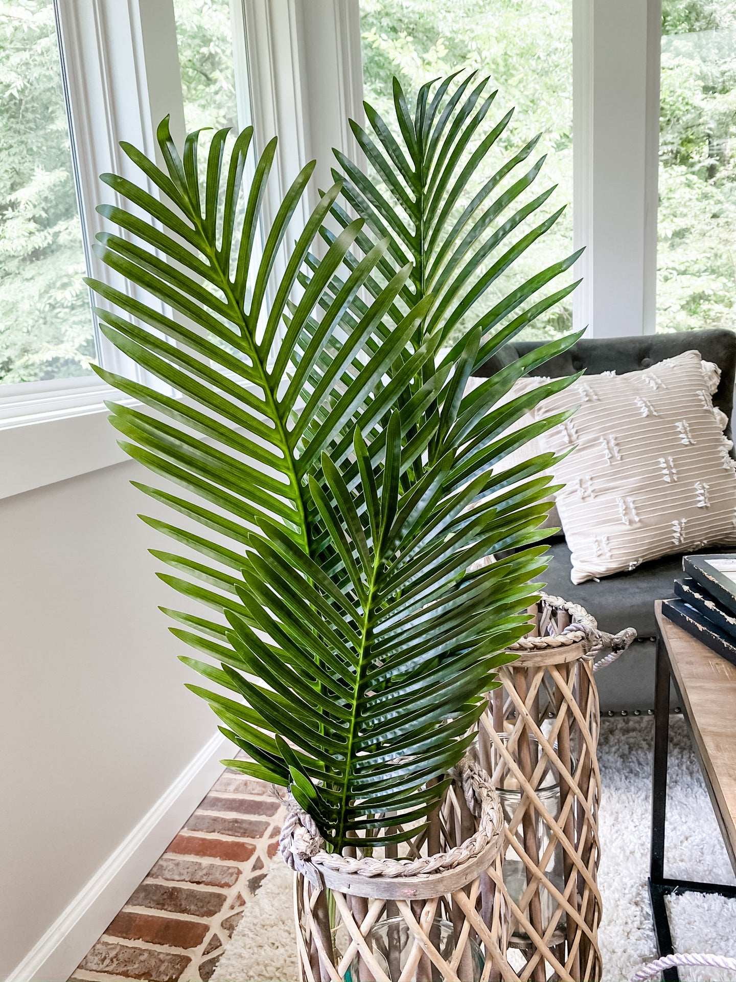 Palm Leaf Stem