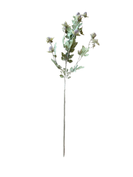 Bursting Dandelion Stem