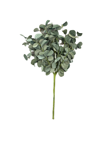 Lacy Eucalyptus Stem