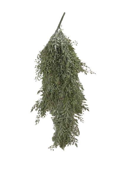 Hanging Sage Leaves
