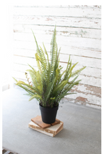 Load image into Gallery viewer, Large Potted Fern
