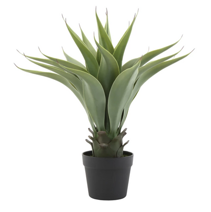2' Potted Succulent