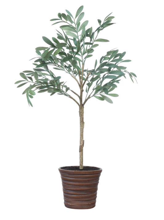 32" Potted Olive Tree