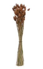 Load image into Gallery viewer, Dried Grass Bunch
