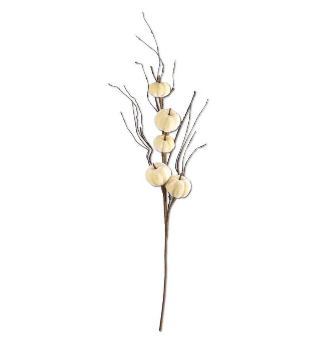 Velle Pumpkin Stem