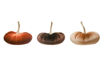 Velvet Pumpkin with Stem
