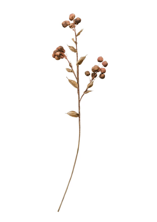 Pod Berry Stem