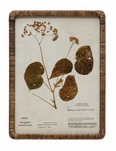 Load image into Gallery viewer, Rattan Wrapped Botanical Print
