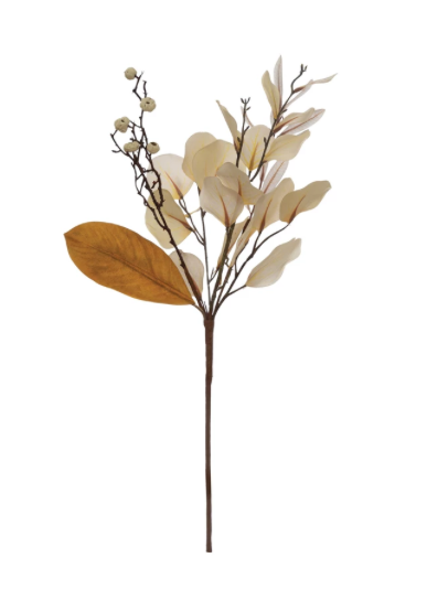 Magnolia and Eucalyptus Stem