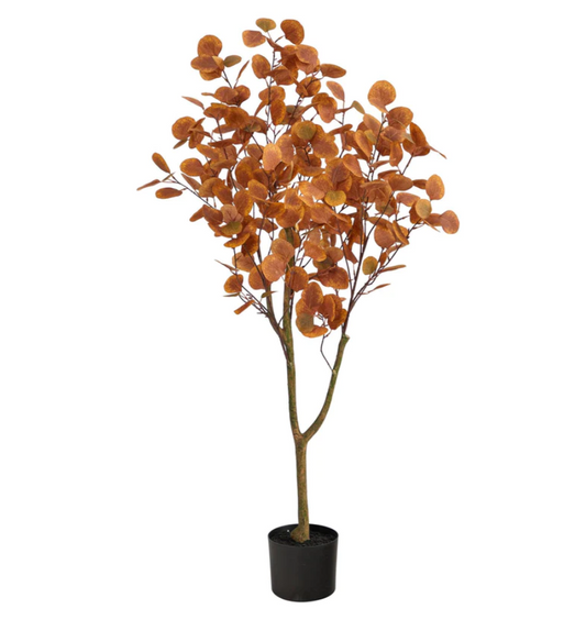 Autumn Orange Tree