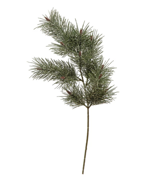 Donner Pine Needle Stem