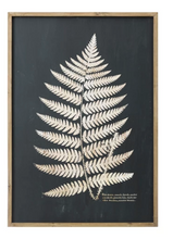 Load image into Gallery viewer, Fern Wall Art (In-store pickup only)
