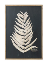 Load image into Gallery viewer, Fern Wall Art (In-store pickup only)
