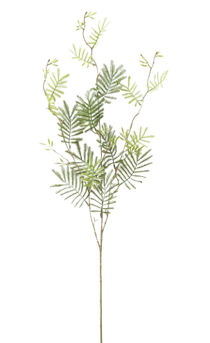 Abbey Stem