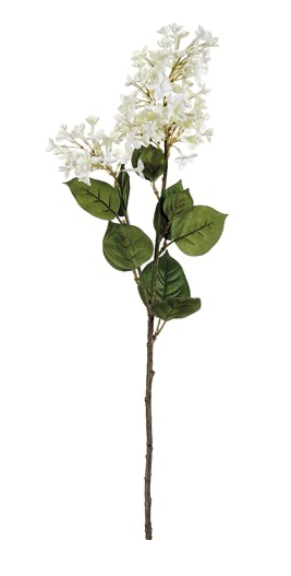 Cream Lilac Stem