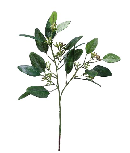Budded Eucalyptus Spray