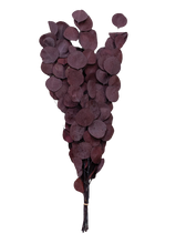 Load image into Gallery viewer, Plum Eucalyptus Stem

