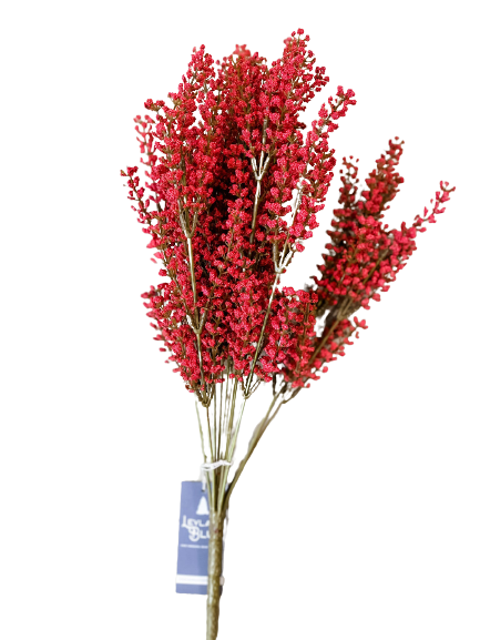 Bursting Sangria Stem