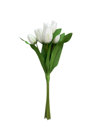 White Tulip Bunch