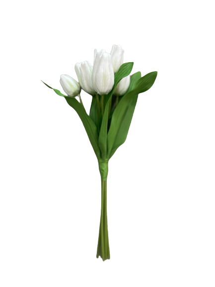 White Tulip Bunch
