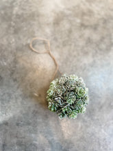 Load image into Gallery viewer, Succulent Ball Ornament
