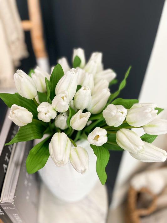 White Tulip Bunch