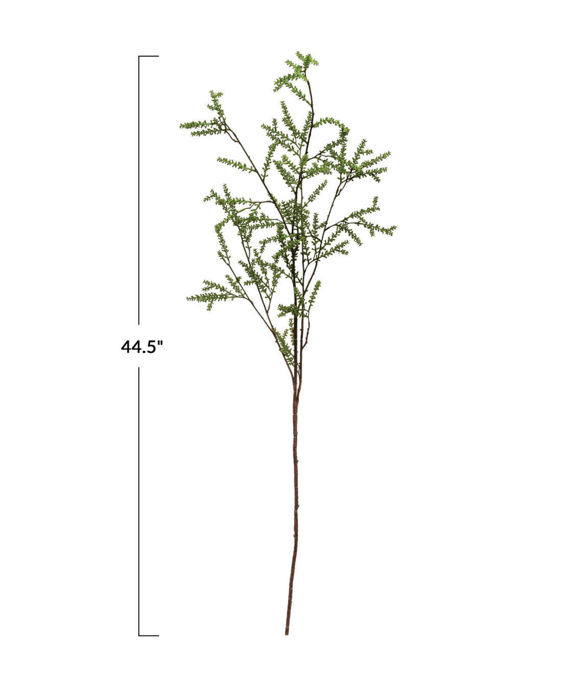 Jay Budded Stem
