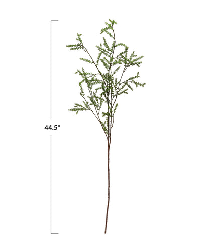 Jay Budded Stem