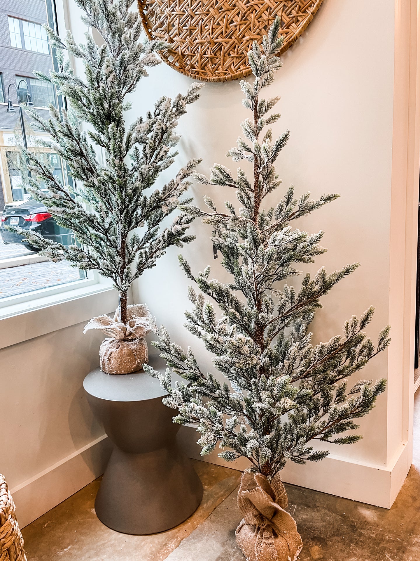Pine Tree with Burlap Base
