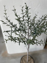 Load image into Gallery viewer, Faux Potted Thyme
