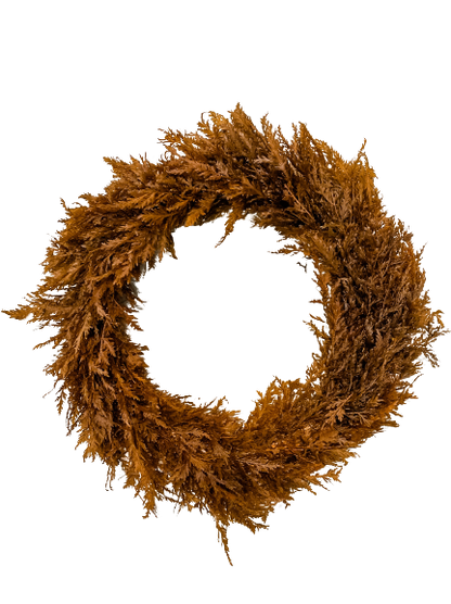 Cypress Wreath