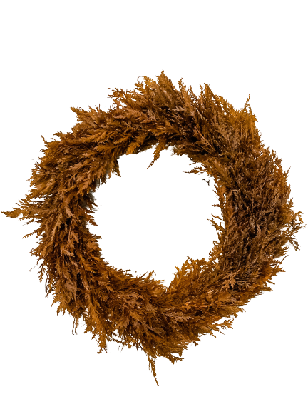 Cypress Wreath