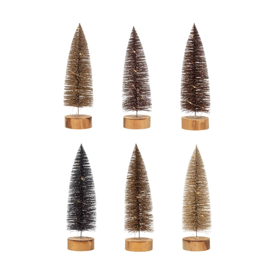 Lane Bottle Brush Tree